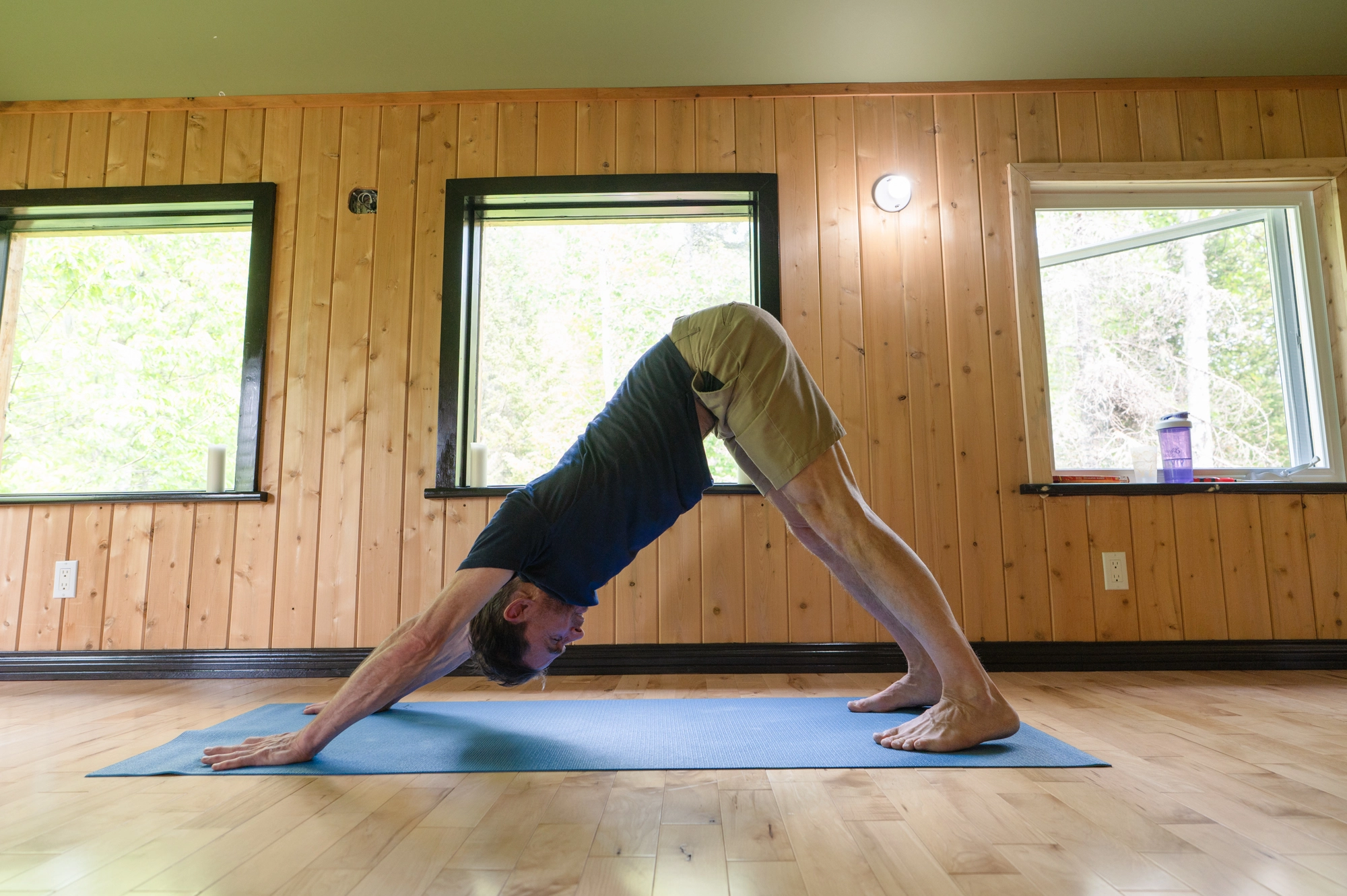 studio posture chien tête en bas